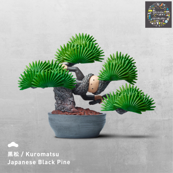1.Gashapon BON NO – Kuromatsu Japanese Black Pine