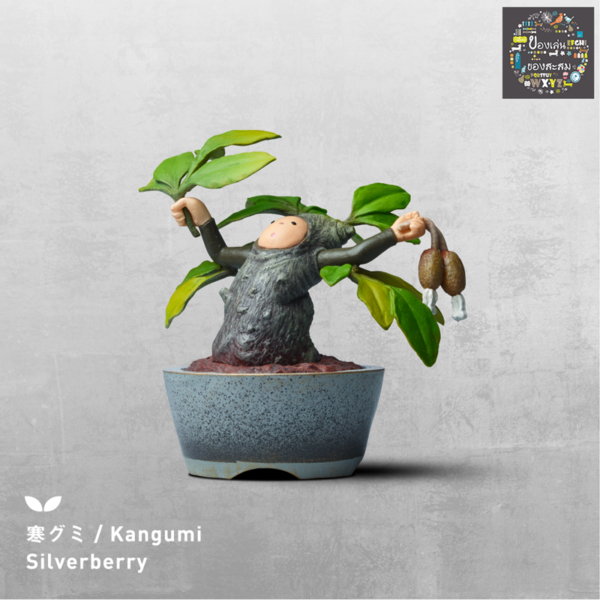 3.Gashapon BON NO – Kangumi Silverberry